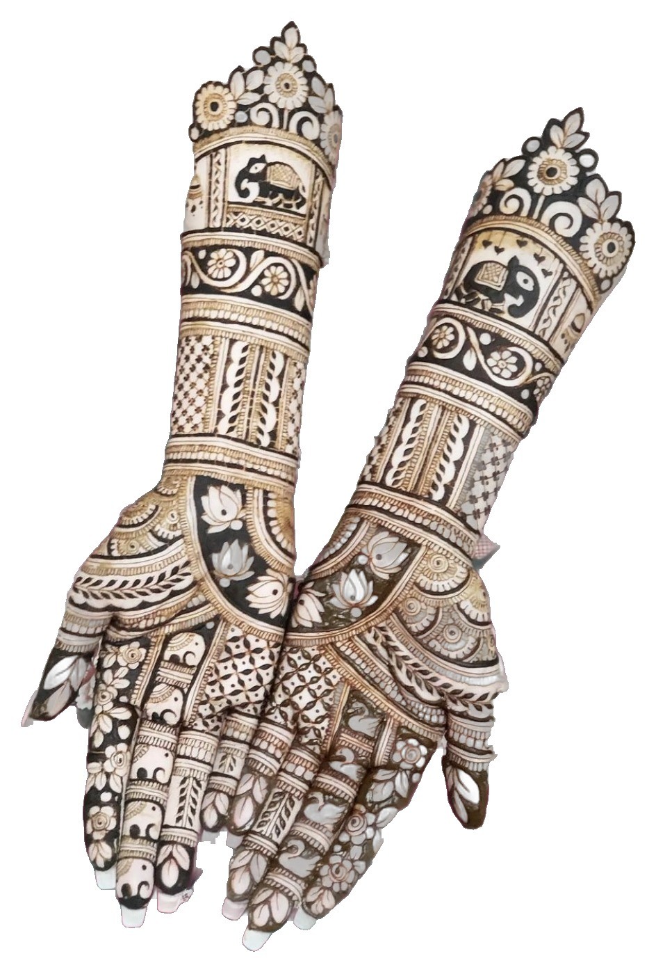 Close-up of intricate bridal henna with elephant and lotus motifs on both forearms